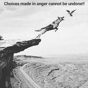 Meet your Posher, Angel